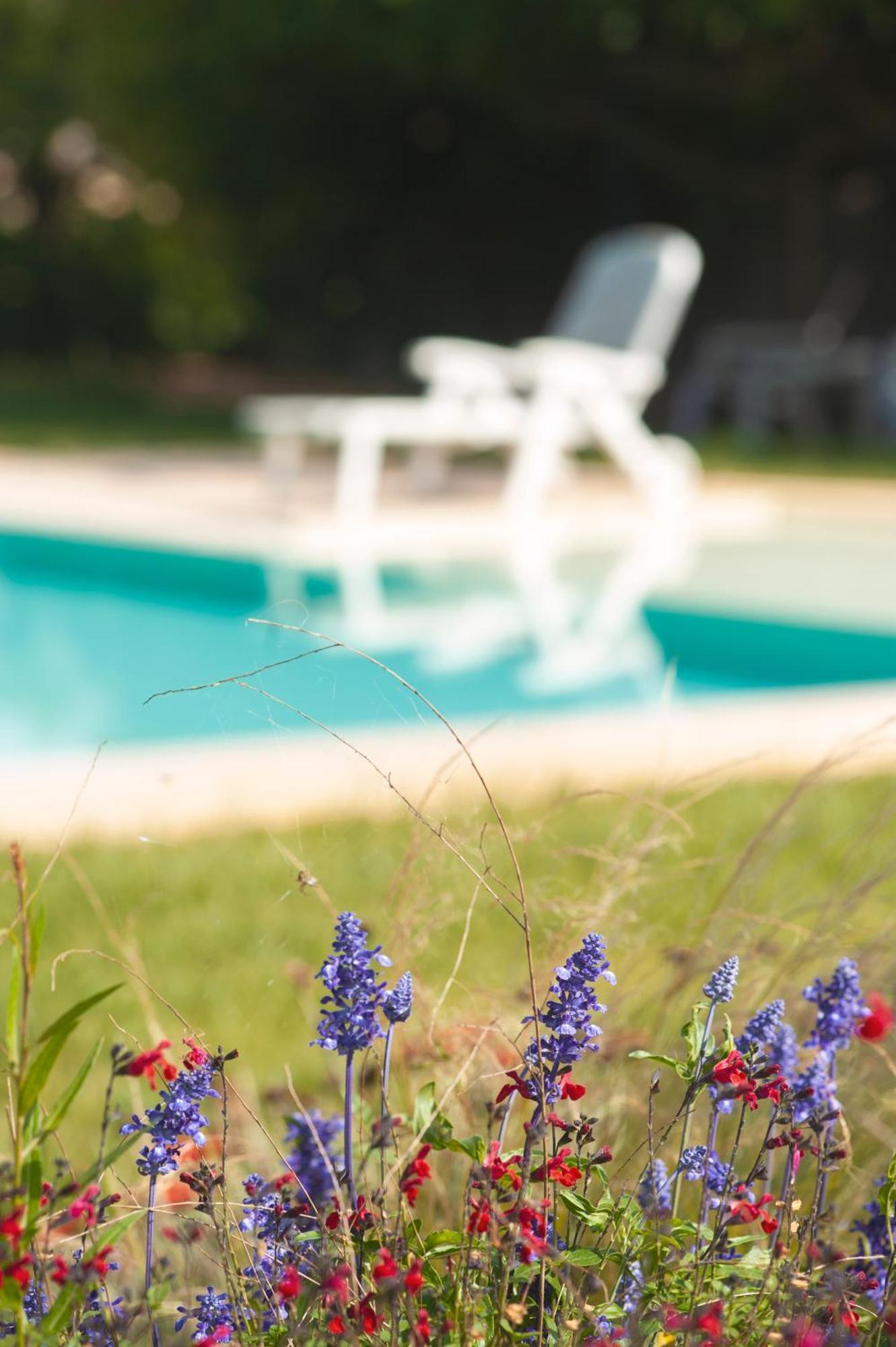 Agriturismo Masseria Calongo Cisternino Eksteriør billede