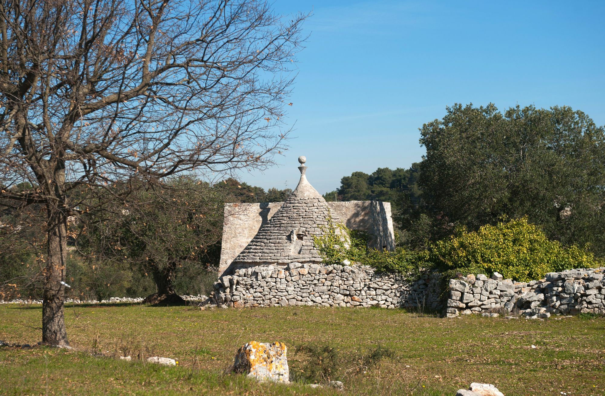 Agriturismo Masseria Calongo Cisternino Eksteriør billede